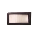 Filtro Aria SUZUKI AN650 BURGMAN/EXECUTIVE 650cc